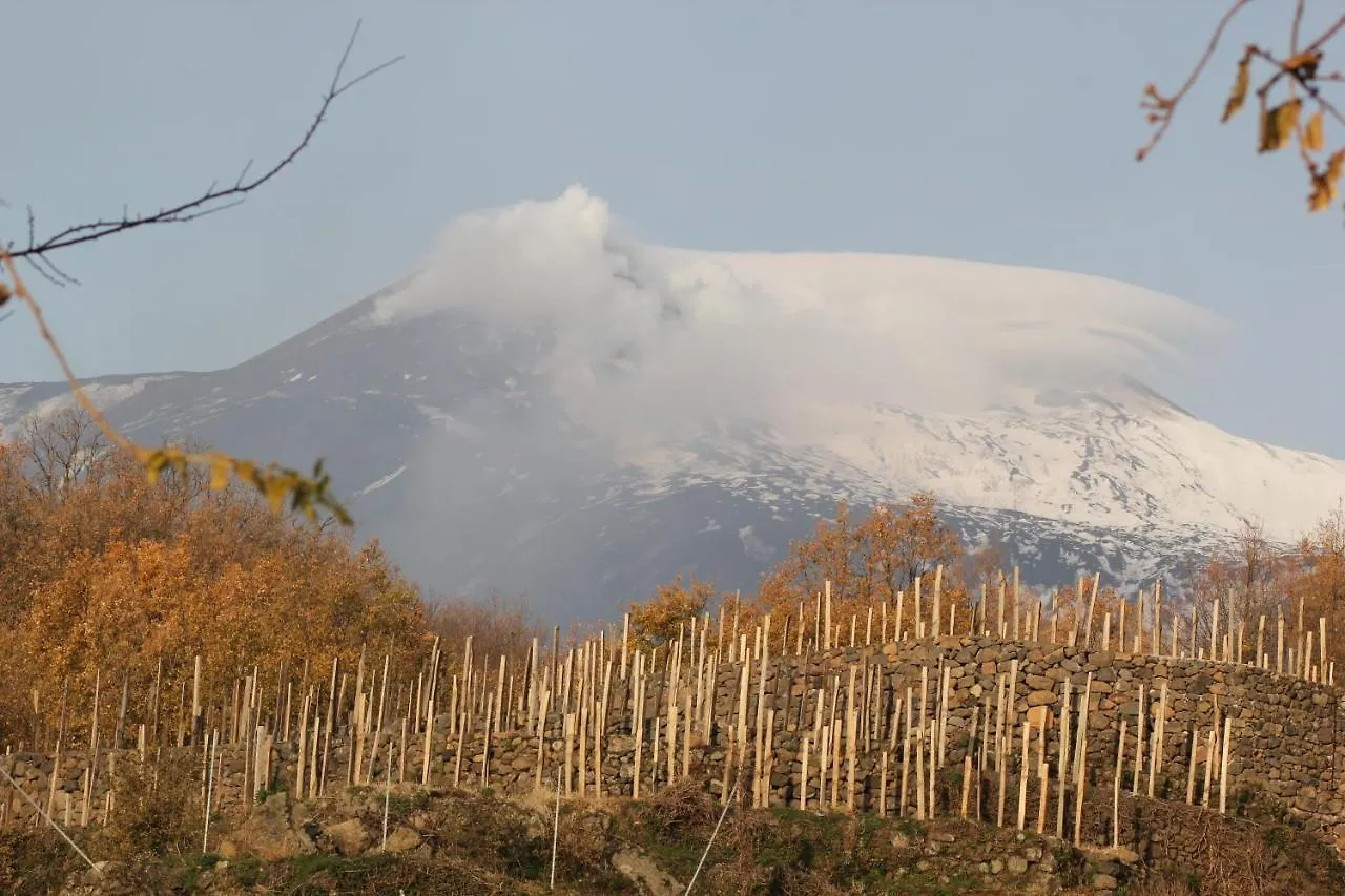 Farm stay Le Case Del Merlo Turismo Rurale Milo Italy