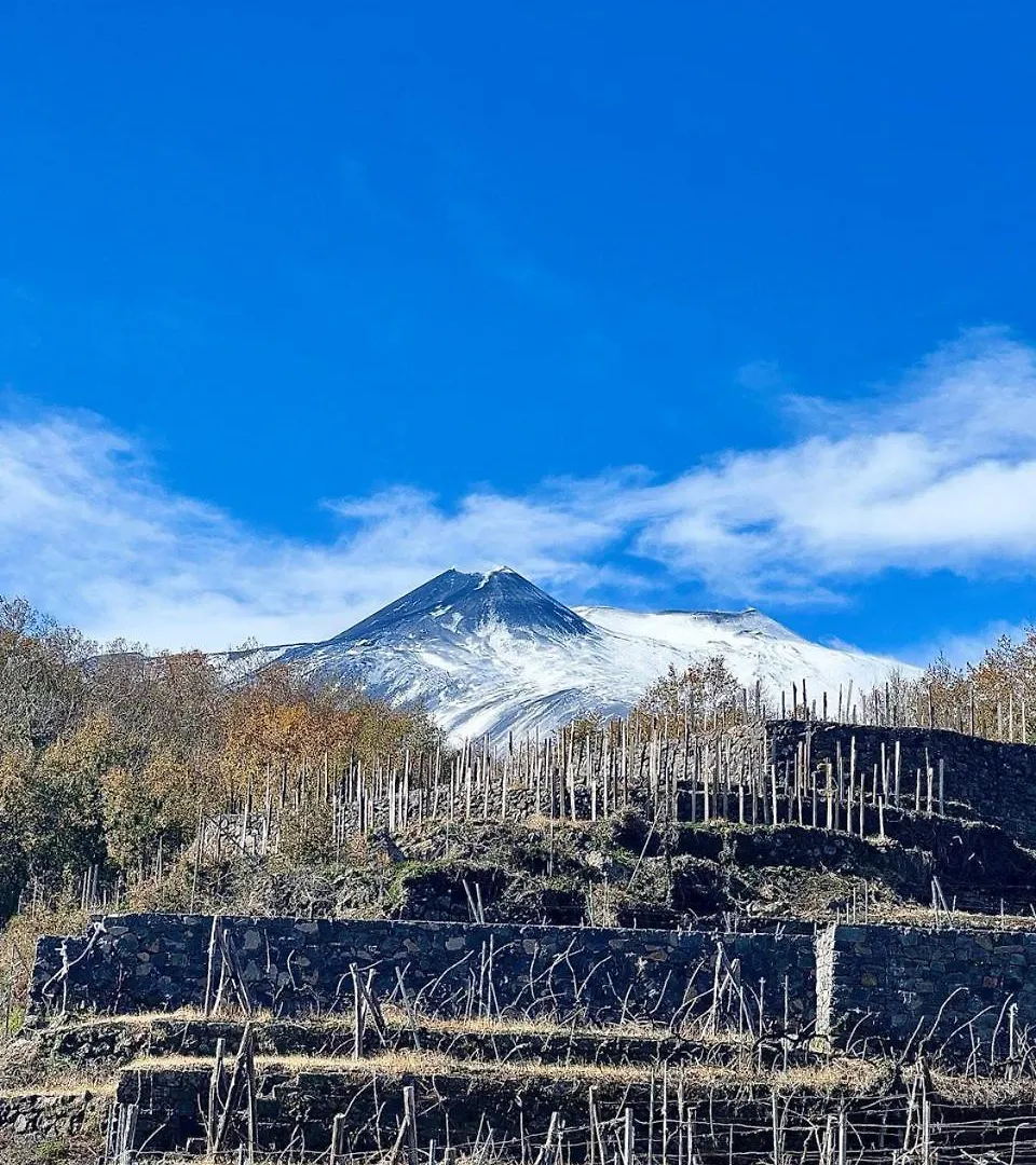 Le Case Del Merlo Turismo Rurale Milo