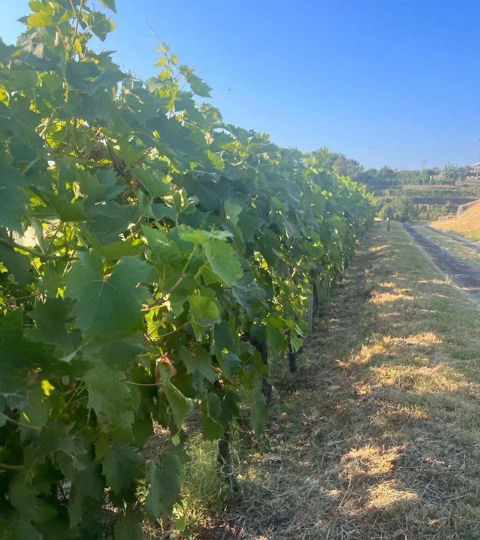 Farm stay Le Case Del Merlo Turismo Rurale Milo