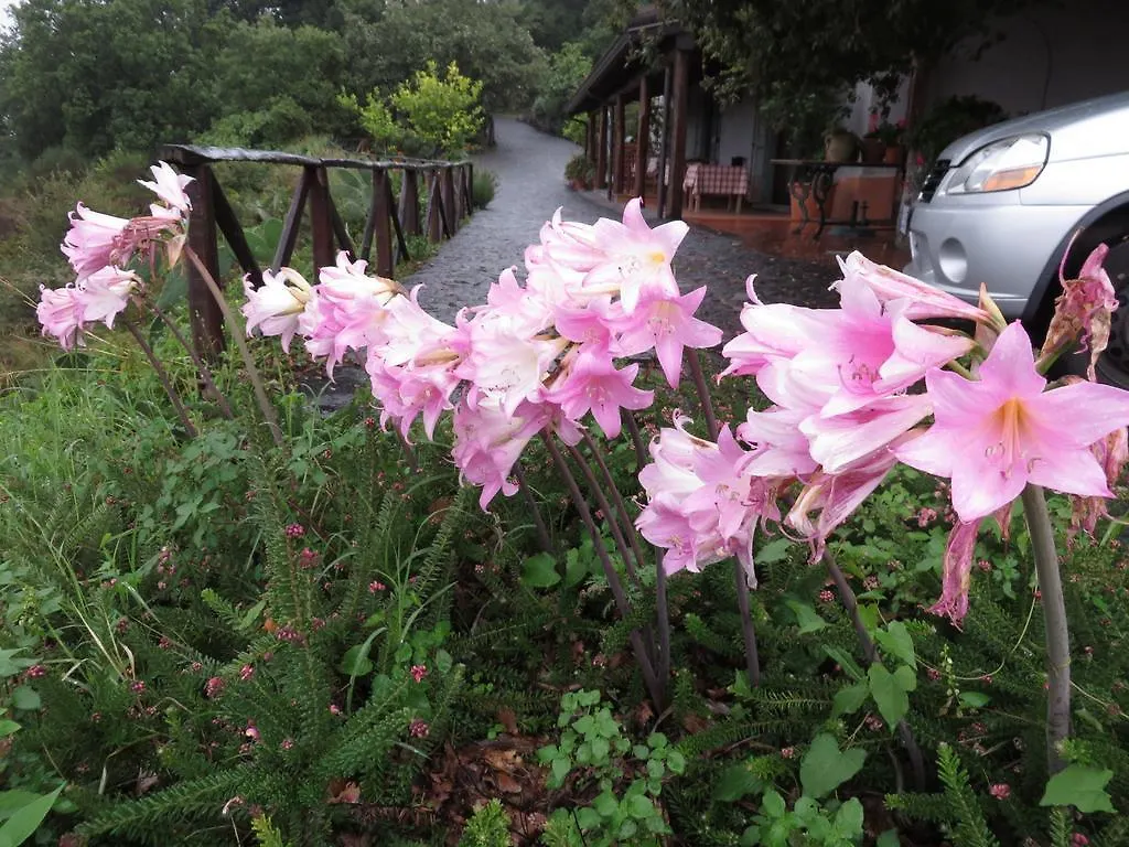 Séjour à la ferme Le Case Del Merlo Turismo Rurale Milo Italie