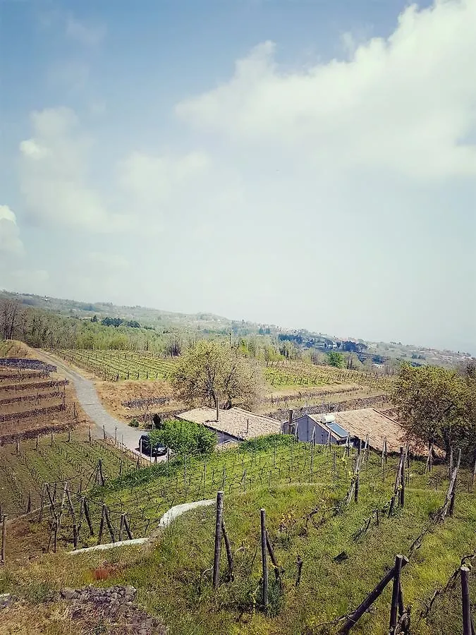 Le Case Del Merlo Turismo Rurale Milo